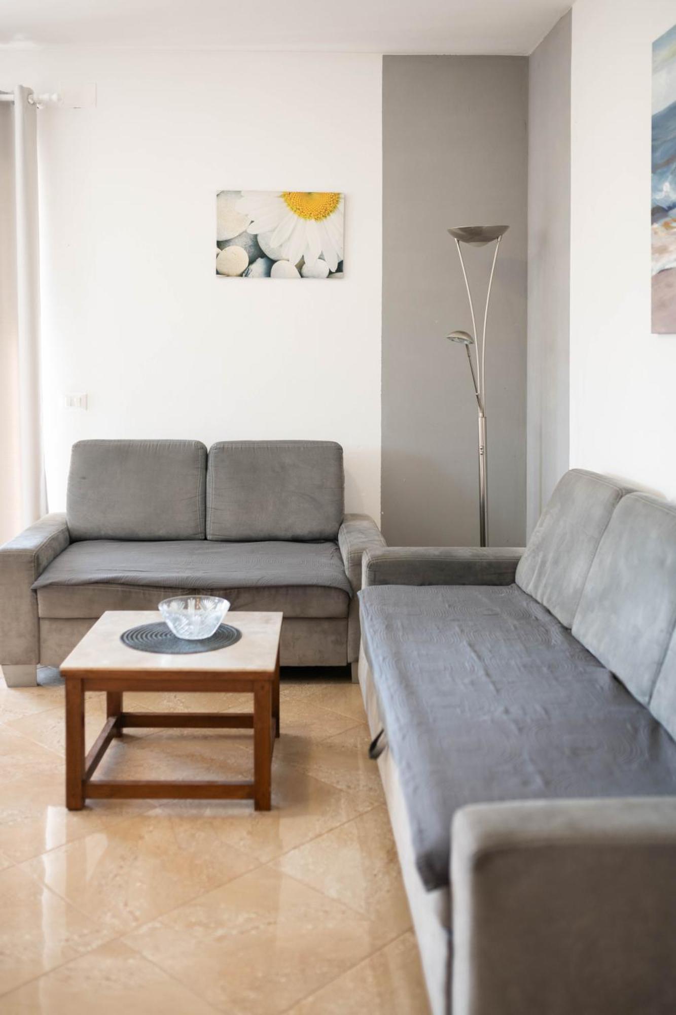 Apartment Thomas Novigrad  Luaran gambar
